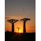 ＢＡＯＢＡＢ