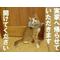 ‡おはなしクラブ‡