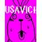 *｡.USAVICH.+゜