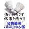 バド仲間集まろ～[A:F3F1]