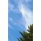 [A:F7B2]ぉ空[A:F378]