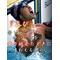 ILAVE[A:F7CC]SWIMMING