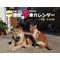 ９条の会