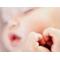若mamaCIRCLE[D:F9CB][D:F991]